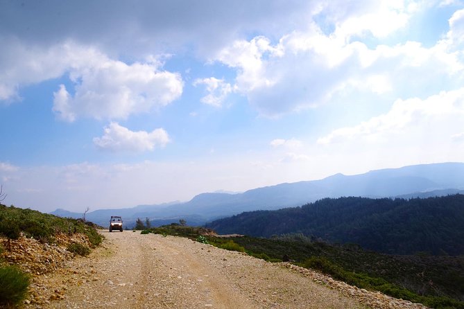 4x4 Buggy Adventures - Off-road Polaris Experience - The farm stop, honey, donkeys, and local tastes