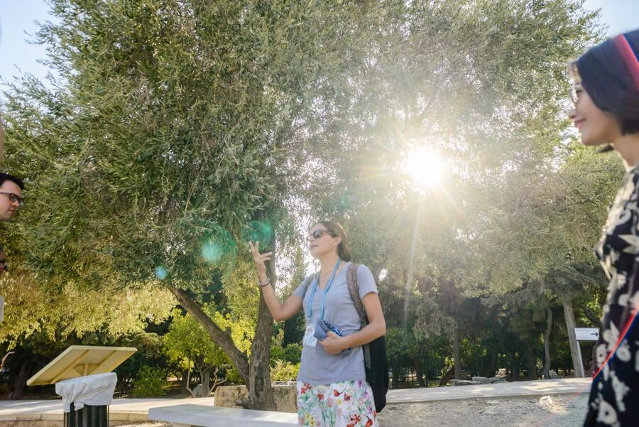 Acropolis: Acropolis and Parthenon Guided Walking Tour - Key points to know before you book