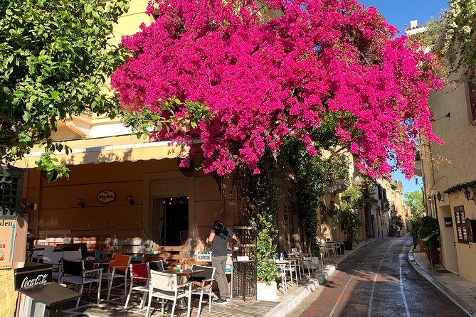Acropolis & Plaka Neighbourhood Private Tour with Licensed Expert - Why a private guide changes the Acropolis visit