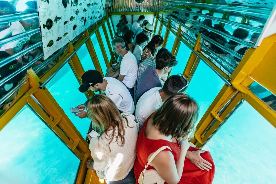 Agios Nikolaos: Semi-Submarine Cruise - Turtles, dolphins, and seals are possible extras