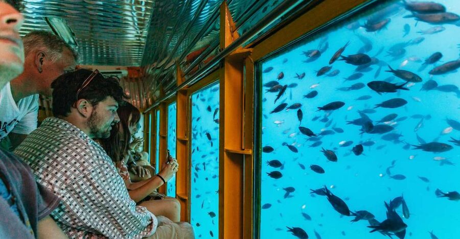Agios Nikolaos: Semi-Submarine Cruise - Watching fish near Agioi Pantes Island