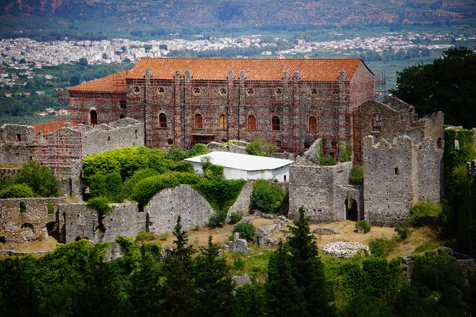 Ancient Sparta & Mystras Private Day Tour from Athens - The Museum of the Olive and Greek Olive Oil