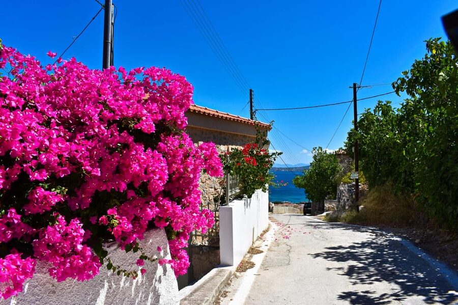 Athens: Agistri, Metopi & Aegina Cruise with Meals & Drinks - Welcome coffee, open water, and a gentle start