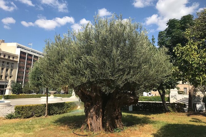 Athens by E-Bike: Monuments, Food & Transfers (Cruise Tour) - The Presidential Mansion and the changing of the guard