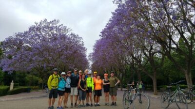 City Highlights Bike tour
