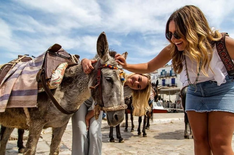Athens Day Cruise – Since 1965 | Visit Hydra, Poros & Aegina - The long first sailing to Hydra