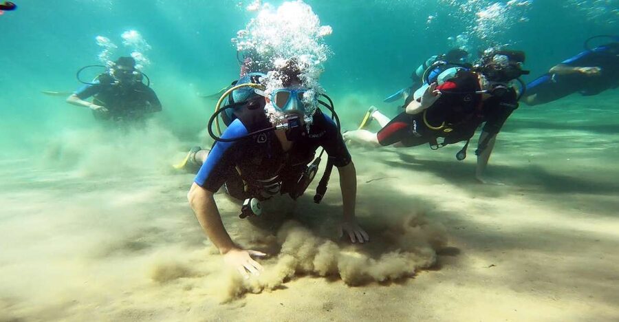 Athens East Coast: Discover Scuba Diving in Nea Makri - What this Nea Makri experience is really like