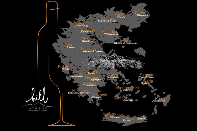 Athens: Greek Wines Tasting with Sommelier and Acropolis Views - Who will enjoy this most?