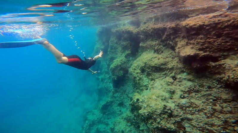 Athens: Marathon Cape and Bay of Schinias Snorkeling Trip - Snorkeling around Marathon Cape