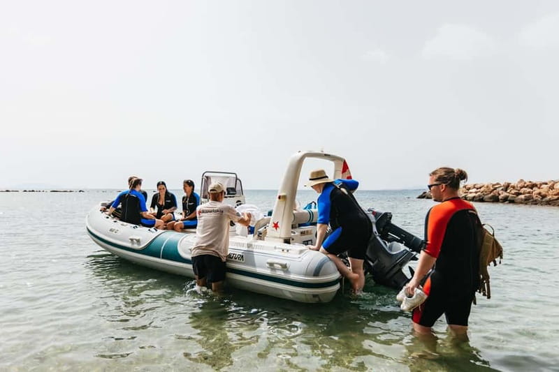 Athens: Marathon Cape and Bay of Schinias Snorkeling Trip - Is $90 a fair price?