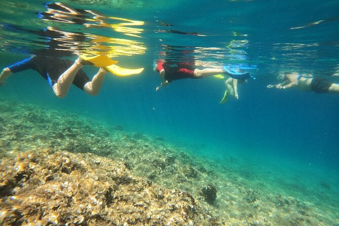Athens, Nea Makri: Guided Small Group Snorkeling Boat Excursion - What Dimitris adds to the trip