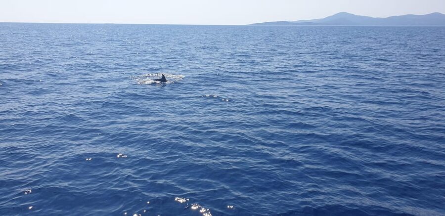 Athens: Riviera Catamaran Tour with Fresh Meal and Drinks - The short sail to Hydrousa