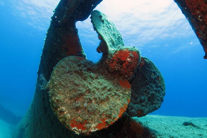 Athens Scuba Diving Experience for Certified Divers with Pickup - What happens during the five-hour outing