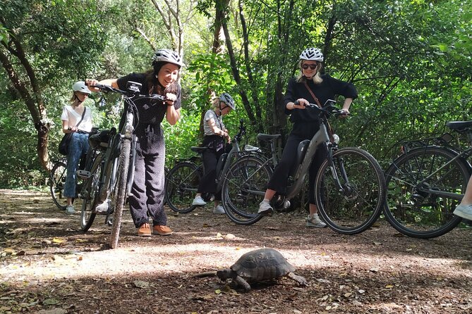 Athens Small Group Electric Bike Tour - The National Observatory viewpoint on foot
