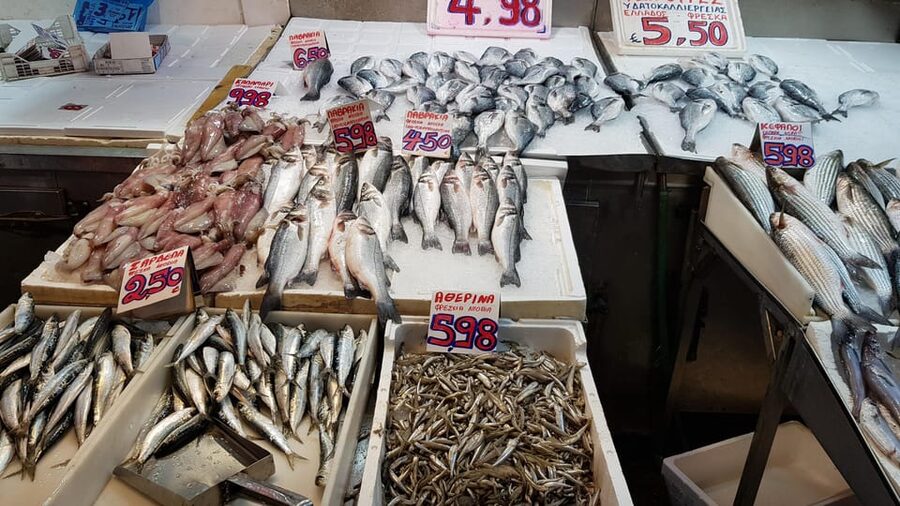Athens: Traditional Greek food tour in hidden spots - Two family-run meze meals