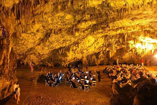 Best of Kefalonia: Half-Day Private Sightseeing Tour - What the driver adds, and what you should not expect