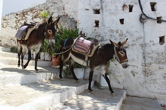 Best Rhodes Tour with Wine Tasting Experience from Cruise Port - Wine tasting with Greek stories