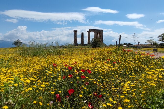 Biblical Corinth Taste Faith & History with wine & Oil Tasting - The Archaeological Museum of Isthmia