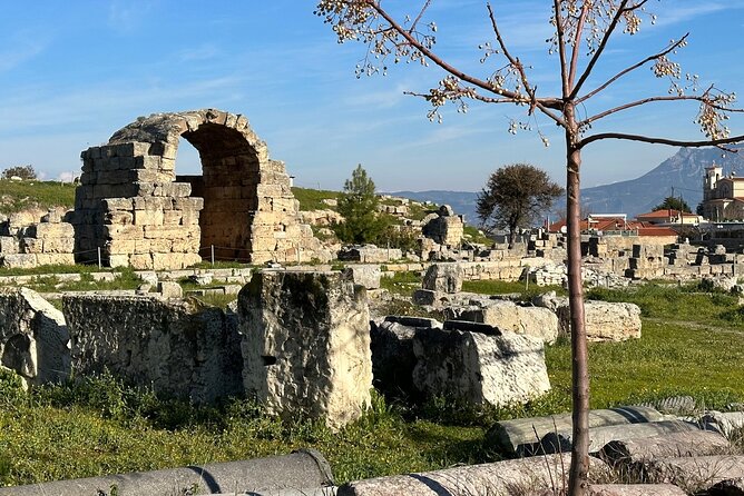 Biblical Corinth Taste Faith & History with wine & Oil Tasting - Wine and olive oil tasting: what you actually pay for