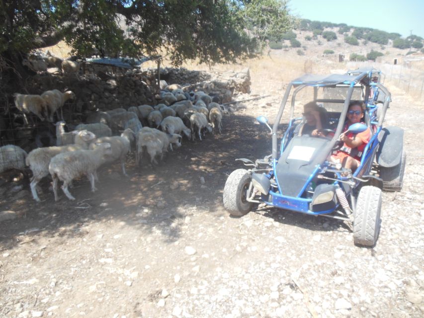 Buggy safari Crete (Transfer and lunch) analipsi- hersonisos - Returning through Sissi to lunch and the coast