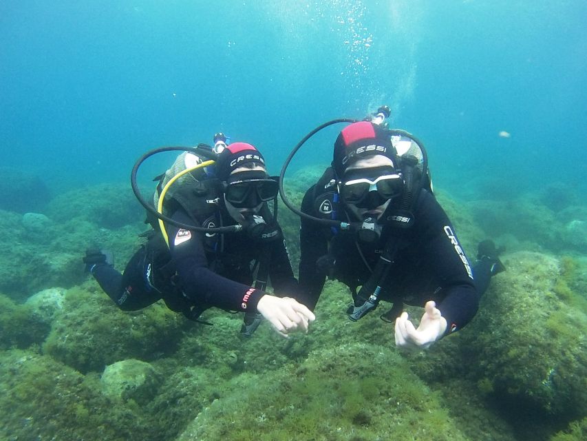 Chalkidiki: Scuba Diving for Beginners in Kassandra - The equipment and health checks