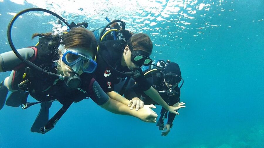 Chalkidiki: Scuba Diving for Beginners in Kassandra - What you may see below the surface