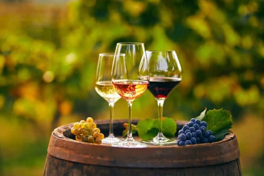 Chania Area: Food Tasting Tour with Winery Visit & Swim Stop - A food-first look at rural Crete