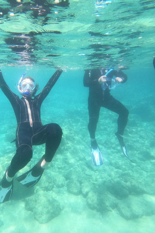 Chania: Boat Trip with Guided Snorkeling Tour - Who should book this Chania snorkeling trip