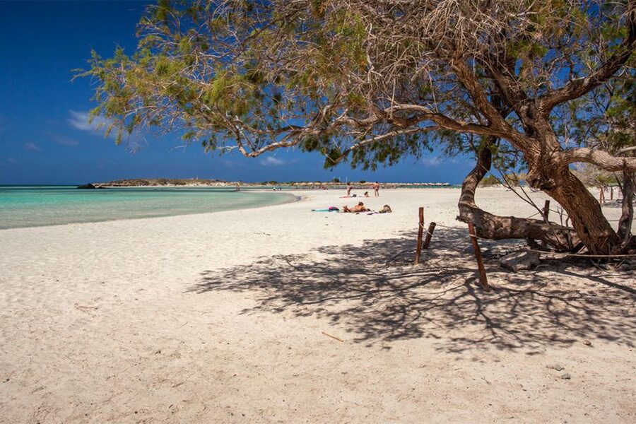 Chania: Elafonisi and Milia Mountain with Loungers and Lunch - Who should book this experience?