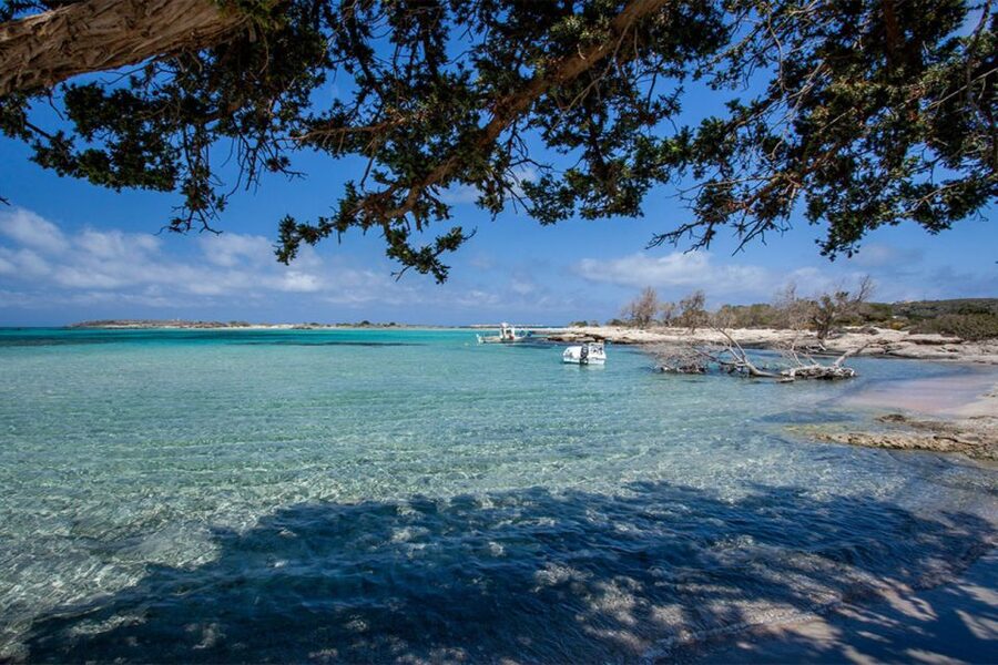 Chania: Elafonisi and Milia Mountain with Loungers and Lunch - Is $194 good value?