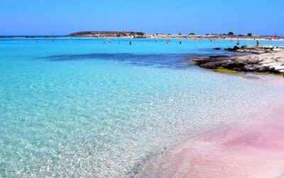 Elafonisi Bus Trip with Free Time and Stop in Elos