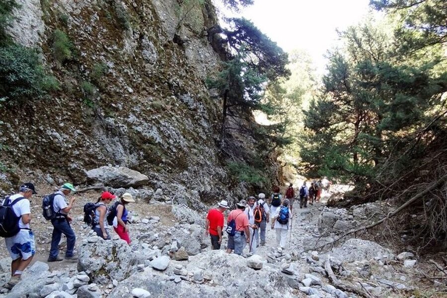Chania: Imbros Gorge and Libyan Sea Day Tour - What the $36 price really covers