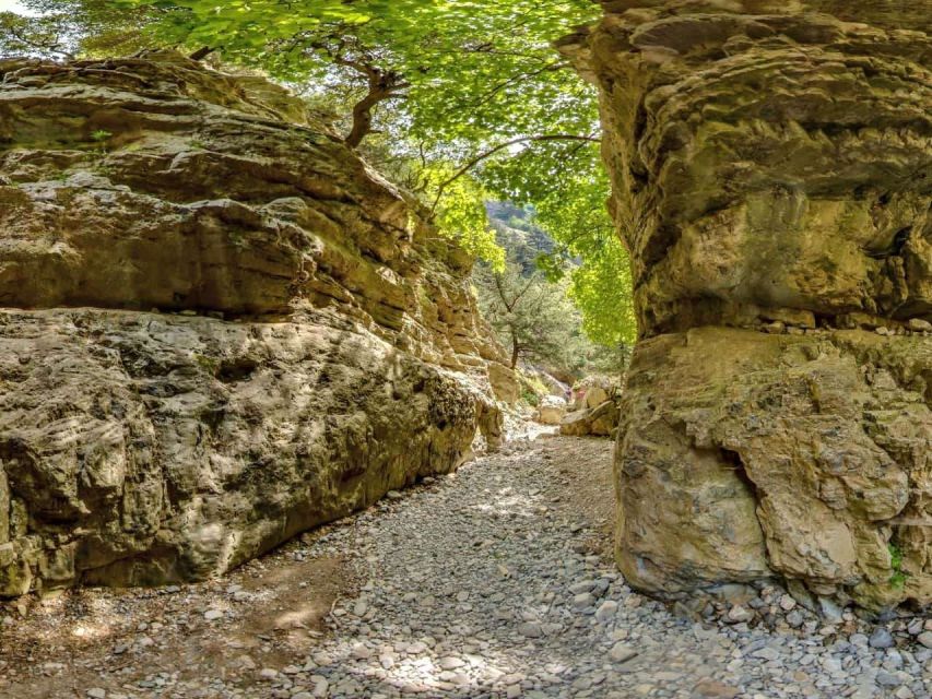 Chania: Imbros Gorge and Libyan Sea Day Tour - Who will enjoy this day most
