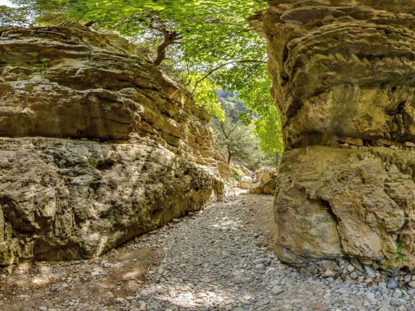 Chania: Imbros Gorge and Libyan Sea Day Tour - The ride from Chania takes patience