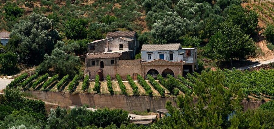 Chania: Milia Mountain Tour w/Lunch Olive Oil/Wine Tastings - Who will enjoy this day most