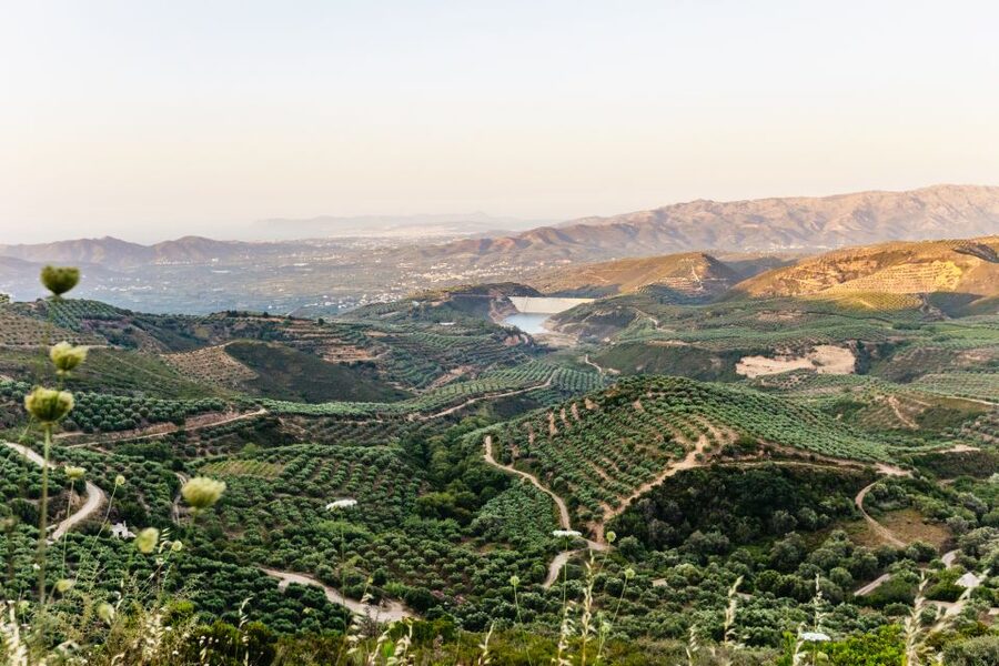 Chania: Off-Road Tour at Sunset - Is $93 a fair price?