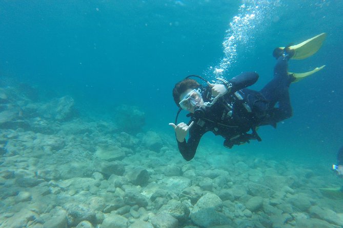 Chania: Scuba Diving for Beginners - Photos, insurance, and the $112 price