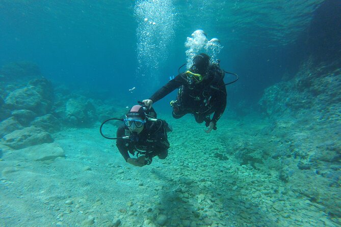 Chania: Scuba Diving for Beginners - A 25-minute lesson before the water