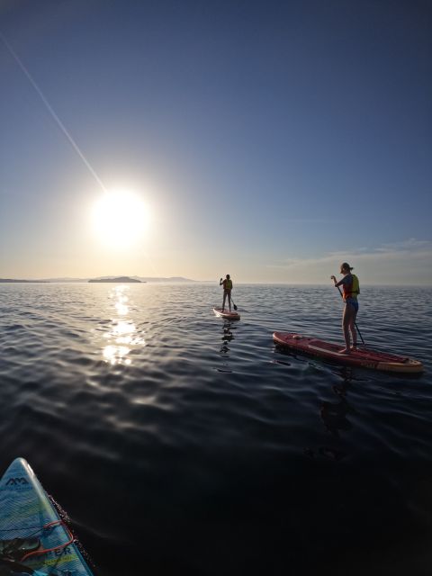 Chania: Stand-up Paddleboard Coastal Sunset Experience - Key points before you book