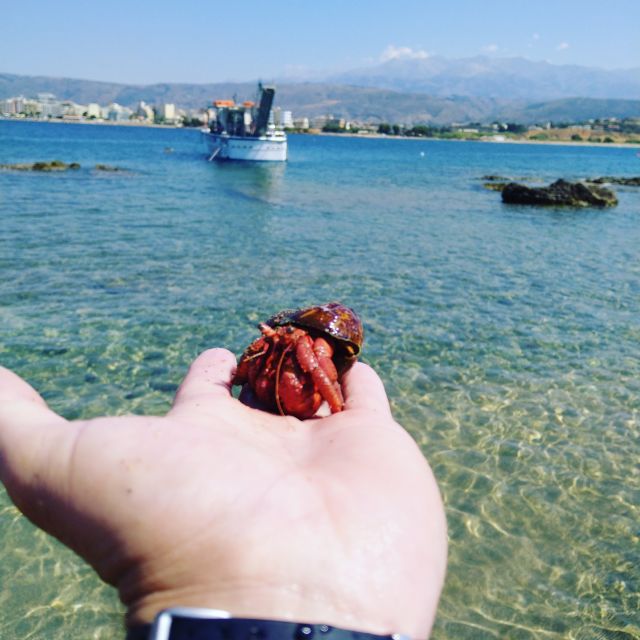 Chania Town: Glass-Bottom Boat Cruise to Thodorou & Lazareta - What the glass bottom actually adds