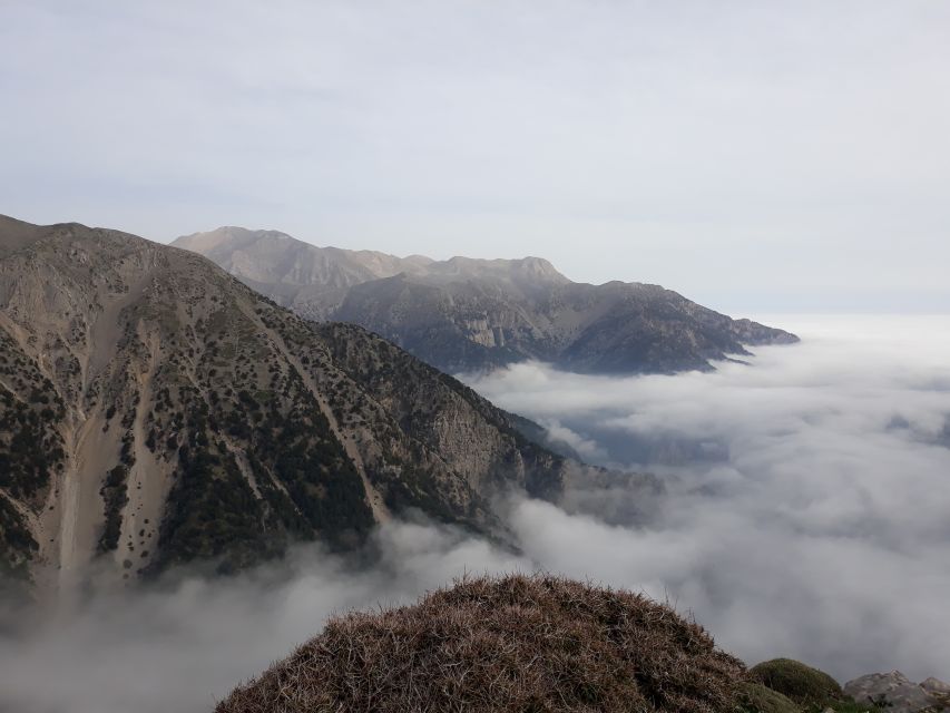 Chania: White Mountains Safari Tour with Lunch and Tastings - Key points at a glance