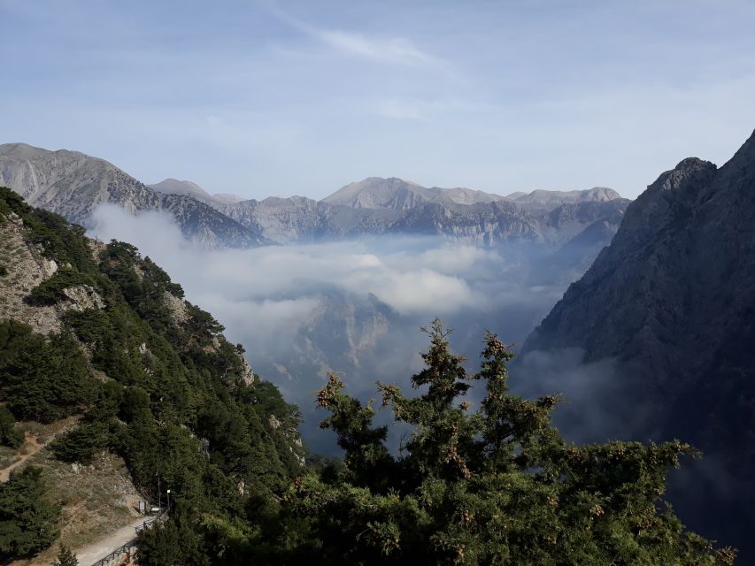 Chania: White Mountains Safari Tour with Lunch and Tastings - Ano Vouves and Crete’s ancient olive tradition