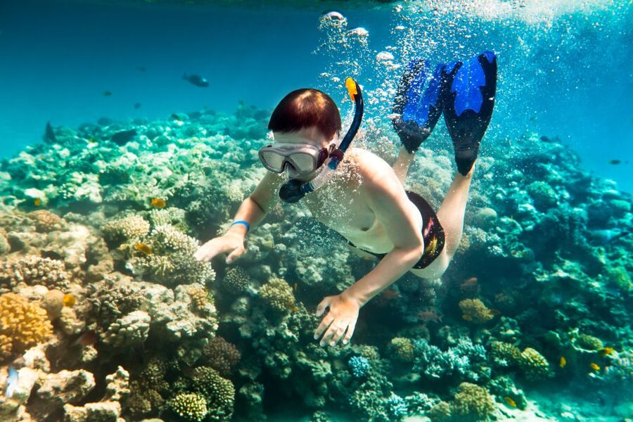Corfu: Day Cruise to the Blue Lagoon with Visit to Syvota - Guides and language support