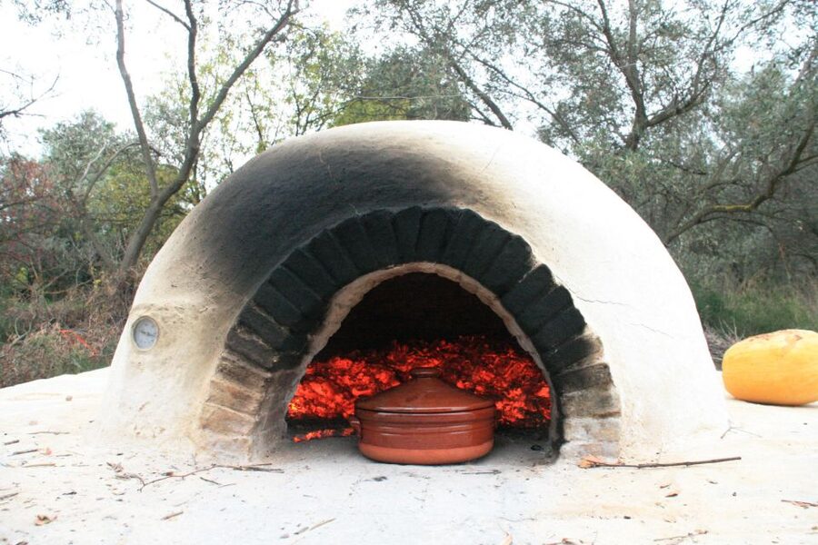 Corfu: Greek Cooking Class & Olive Oil Tasting - Who will enjoy this experience most
