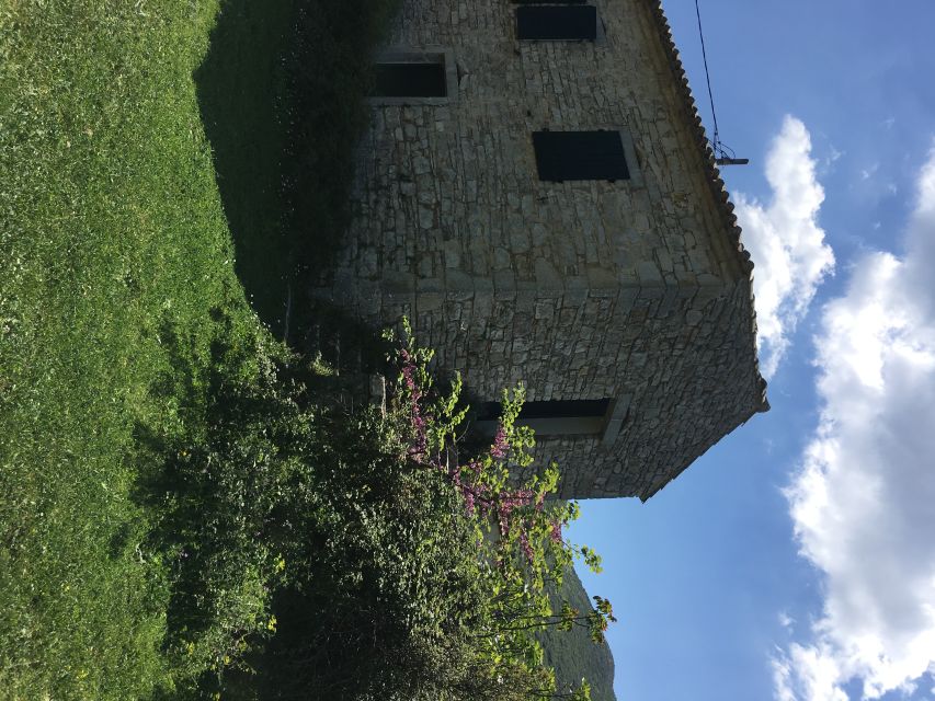 Corfu: Northwest Coast and Village Charms 4x4 Tour - The rough track above Agios Georgios Pagon