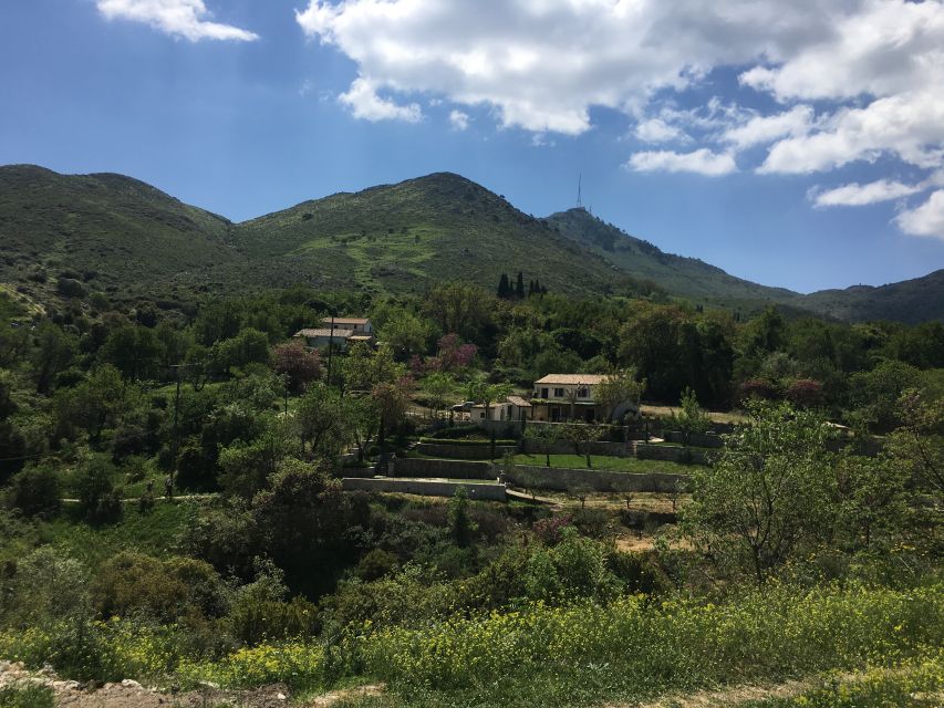 Corfu: Northwest Coast and Village Charms 4x4 Tour - Enotis olive mill turns scenery into a local story