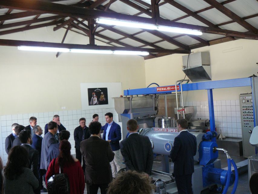 Corfu: Olive Oil Experience - The Governor's Olive Mill - The old museum and the Dafnis family’s Loutrouvio