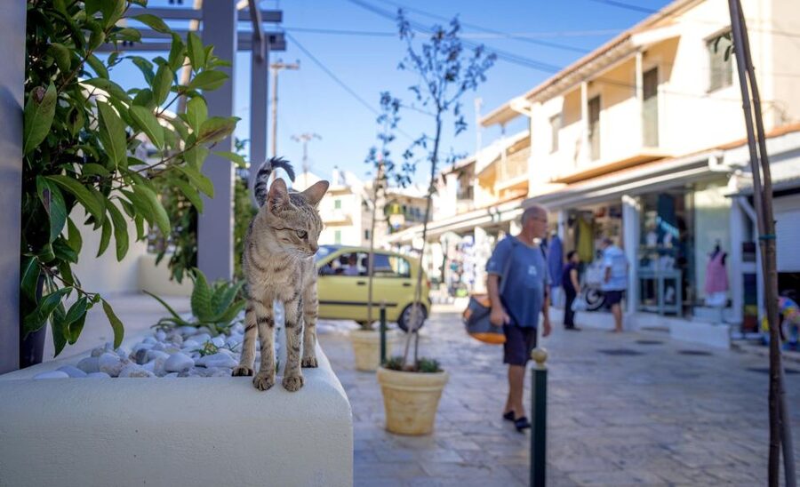 Corfu: Shore & Shared Tour – Kassiopi & Canal d’Amour - Canal d’Amour is scenic, famous, and often busy