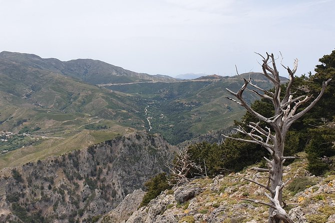 Cretan Safari – 4x4 Adventure to Preveli Beach with Lunch - Potamon Lake and the Amari Valley