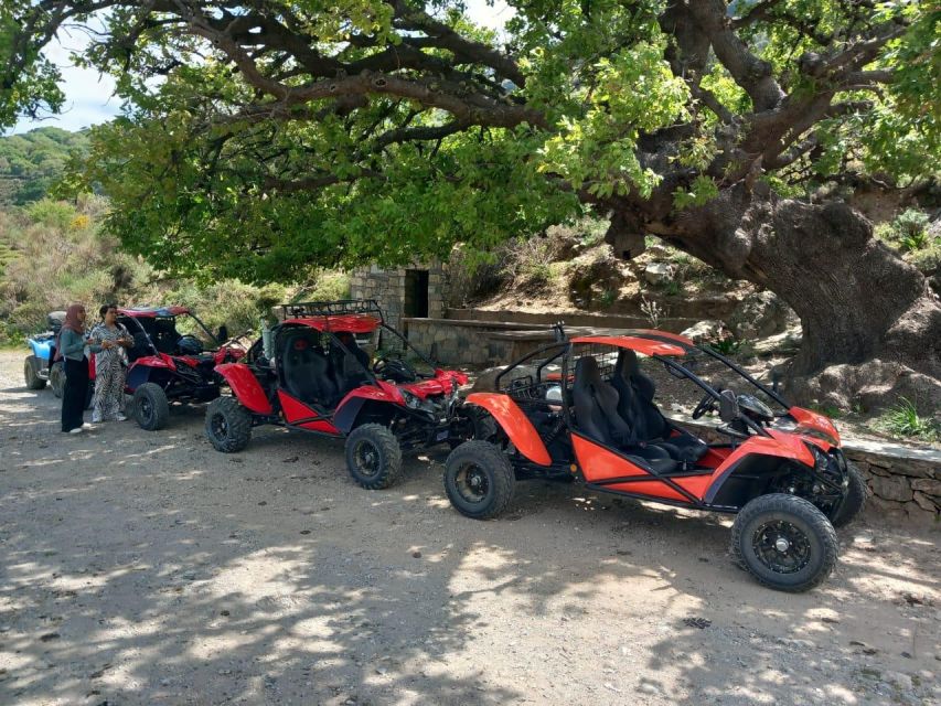 Crete buggy safari - Vassilakis Estate and Crete’s olive oil